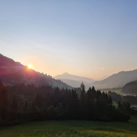 Ferienwohnung Zauberwinkelweg Mit Traum-Aussicht! Wildschoenau Dış mekan fotoğraf