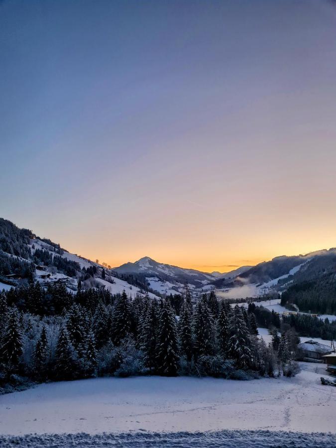 Ferienwohnung Zauberwinkelweg Mit Traum-Aussicht! Wildschoenau Dış mekan fotoğraf