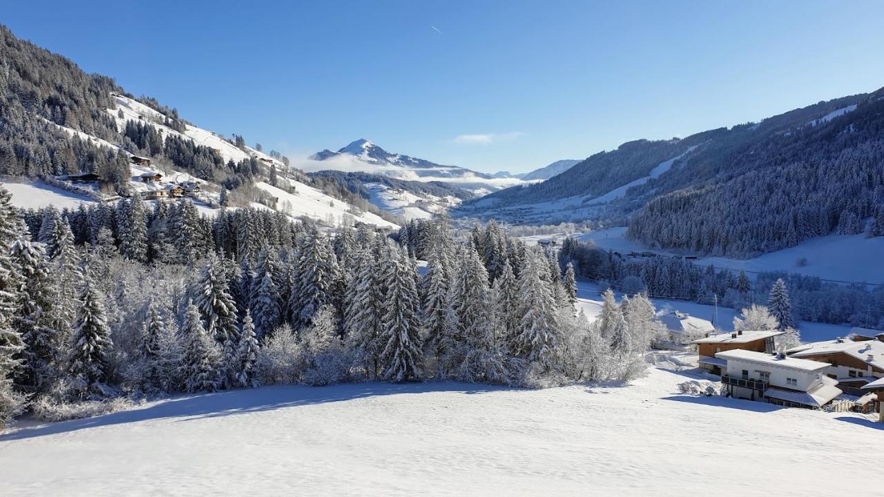Ferienwohnung Zauberwinkelweg Mit Traum-Aussicht! Wildschoenau Dış mekan fotoğraf