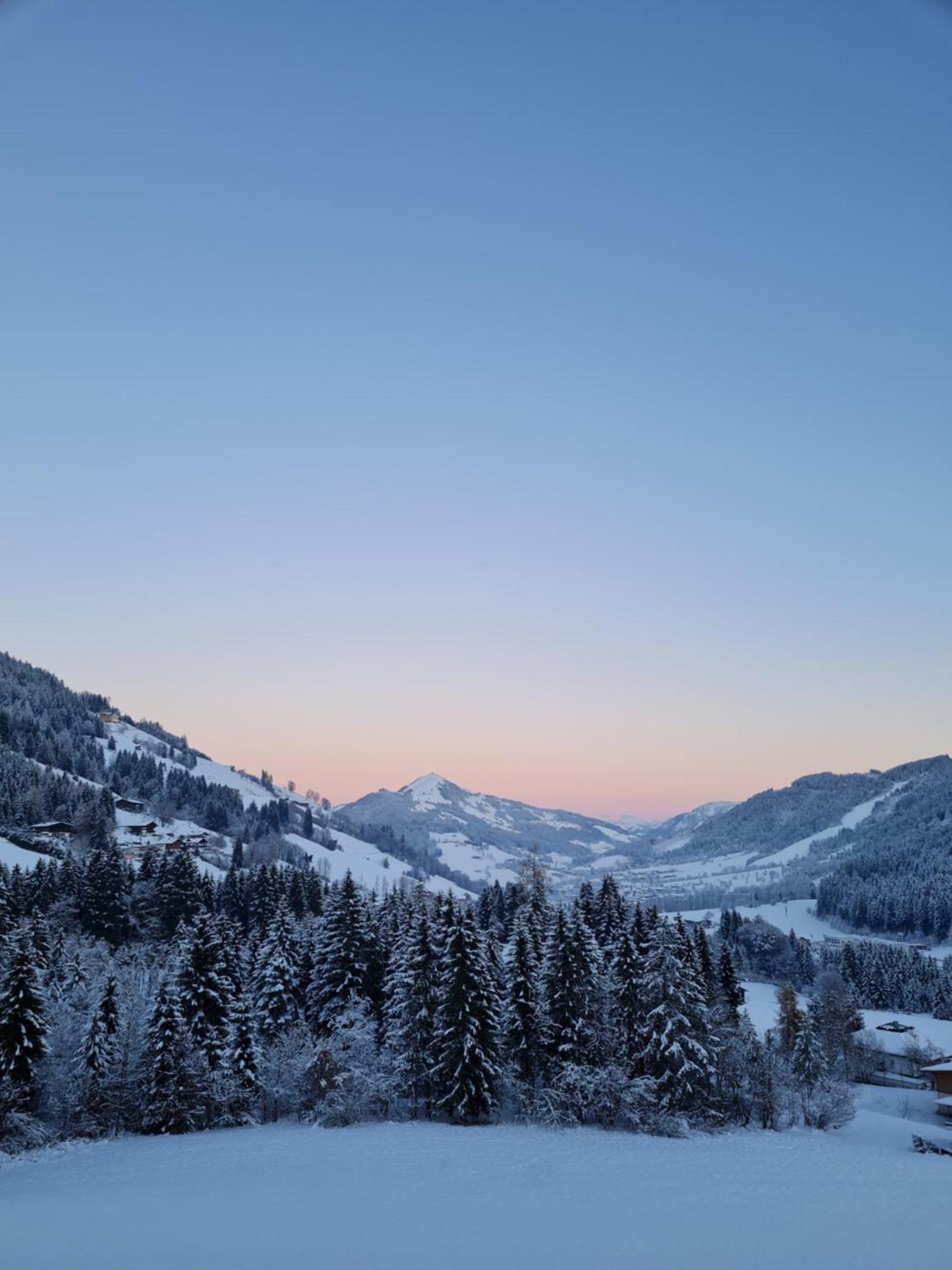 Ferienwohnung Zauberwinkelweg Mit Traum-Aussicht! Wildschoenau Dış mekan fotoğraf